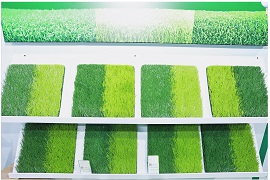 Artificial Grass